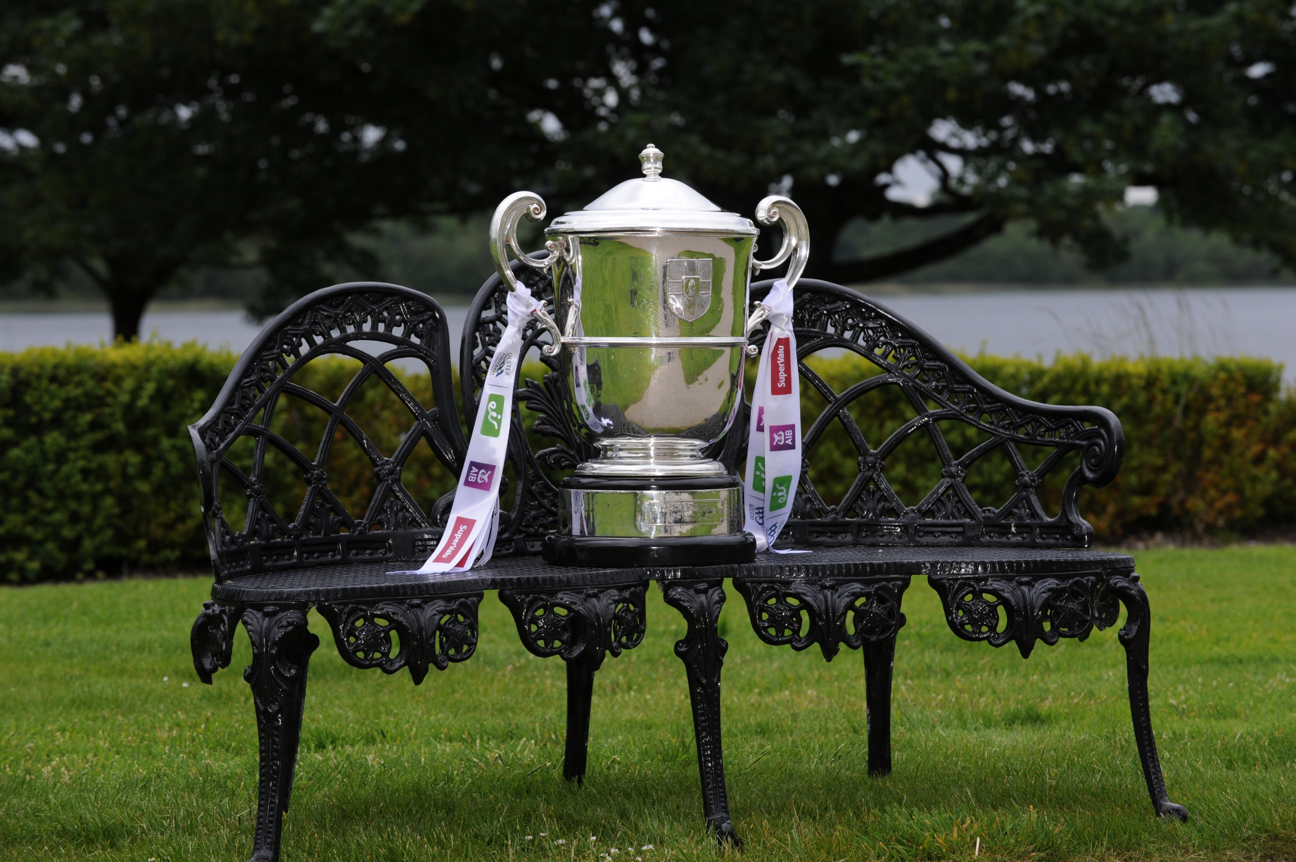 Ulster CCC approve 2020 Championship schedule